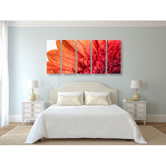 5-dielny obraz ranná rosa na nádhernej gerbere