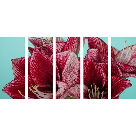 5-dielny obraz jedinečné kvety na tyrkysovom pozadí
