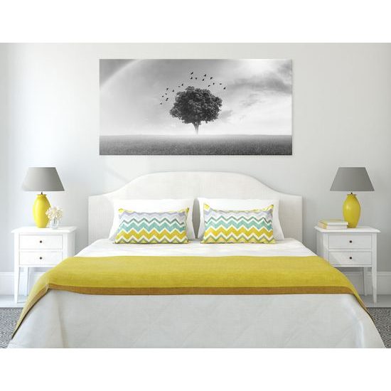 Obraz strom pod dúhou v čiernobielom prevedení