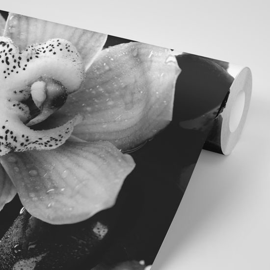 Samolepiaca fototapeta detail tropickej orchidey v čiernobielom prevedení