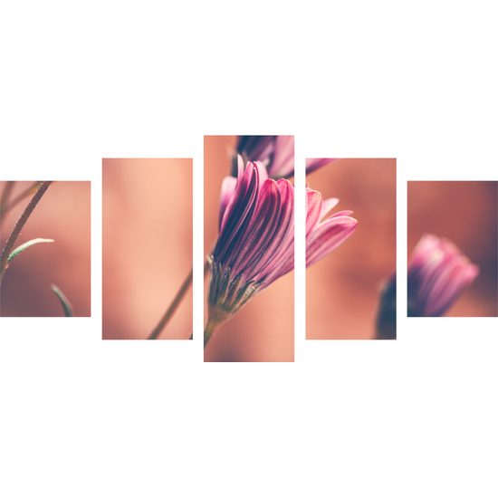 5-dielny obraz krásne ružové puky