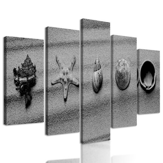 5-dielny obraz zátišie z mušlí na pláži v čiernobielom prevedení