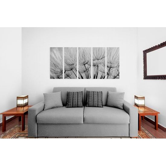 5-dielny obraz presný detail púpavy v čiernobielom prevedení