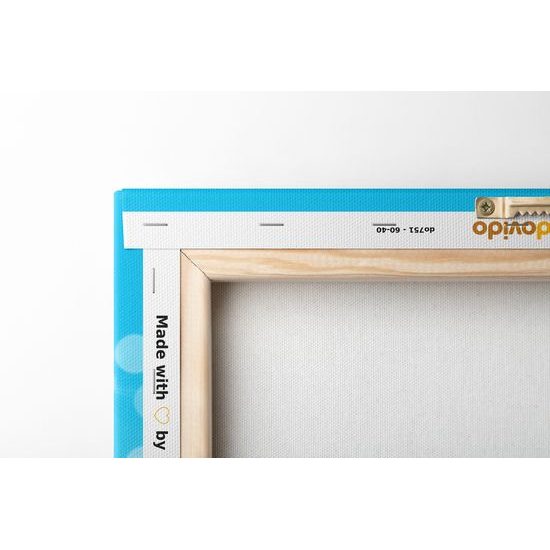 Obraz nádherny ružový kvet