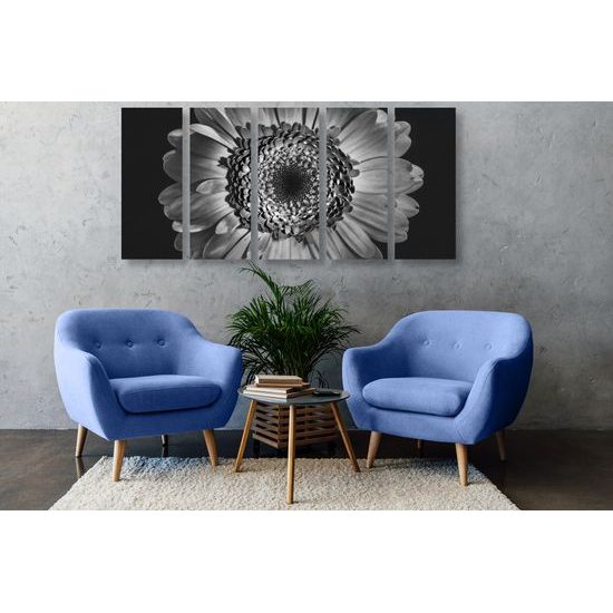 5-dielny obraz detail gerbery v čiernobielom prevedení