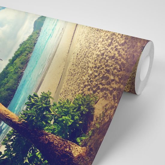 Fototapeta zákutie pláže na ostrove Seychely