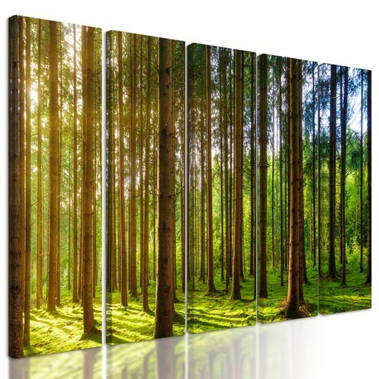 5-dielny obraz nádherné lúče slnka medzi stromami