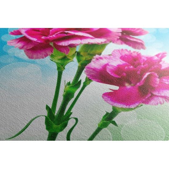 Obraz nádherny ružový kvet