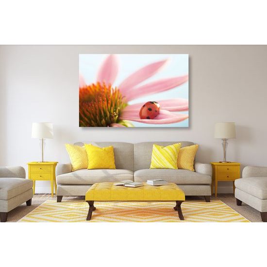 Obraz lienka na lupienku kvetu