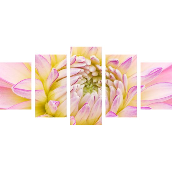 5-dielny obraz perfektný detail na kvet dálie