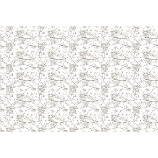 Tapeta krásne vtáčiky na bielom pozadí