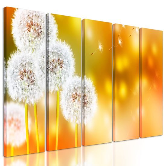 5-dielny obraz rozkvitnutá púpava