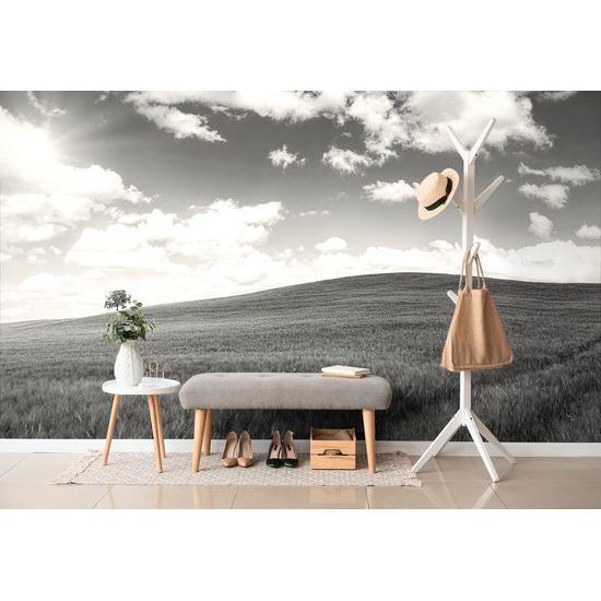 Samolepiaca fototapeta nádherná čiernobiela lúka