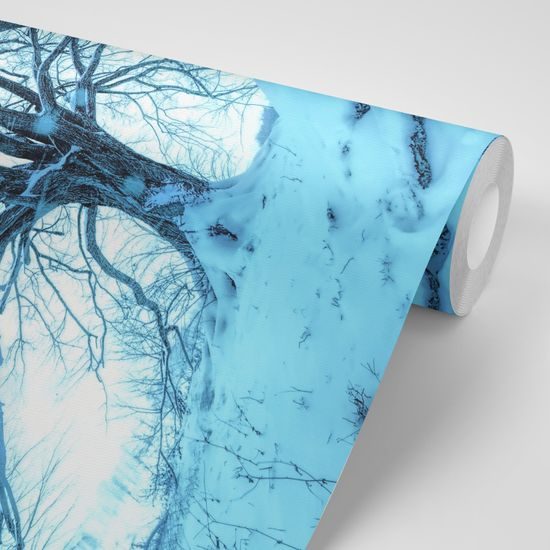 Samolepiaca tapeta dotyk stromov s prichádzajúcou zimou