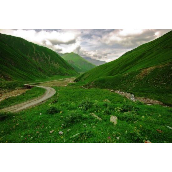 Fototapeta cesta uprostred zelených kopcov