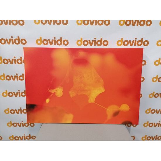 Obraz list lipy s ohnivým pozadím