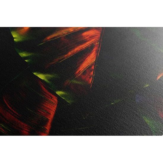 Obraz nádherné palmové listy