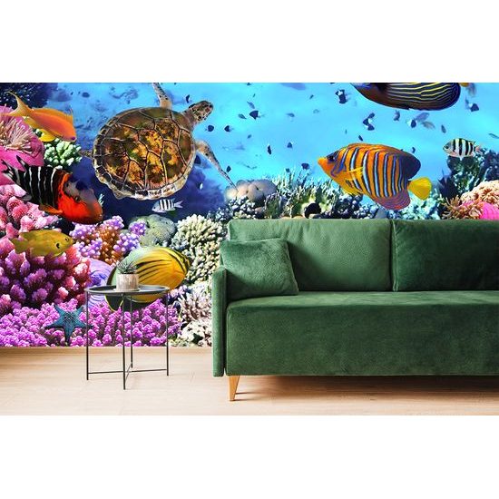 Samolepiaca fototapeta svet pod morskou hladinou