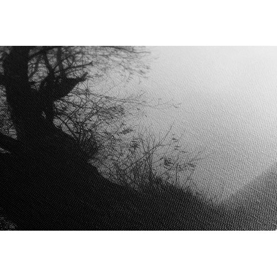 Obraz pole zahalené v rannej hmle v čiernobielom prevedení