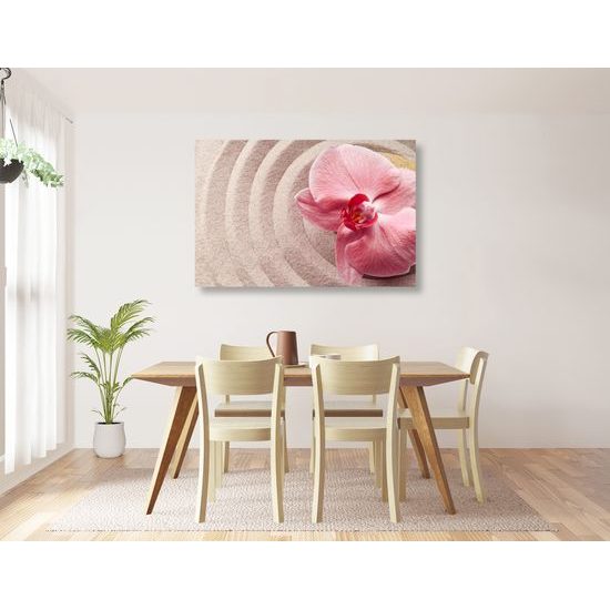 Obraz ružová orchidea v Zen zátiší