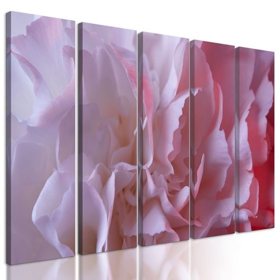 5-dielny obraz detail na lupienky karafiátu