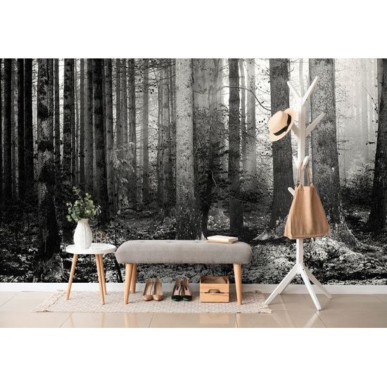 Originálna samolepiaca fototapeta čiernobiele zákutie lesa