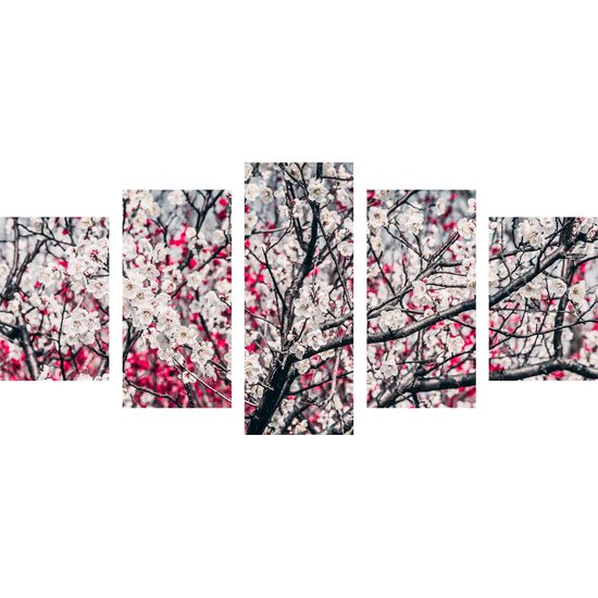 5-dielny obraz nádherne kvety v červenobielom prevedení