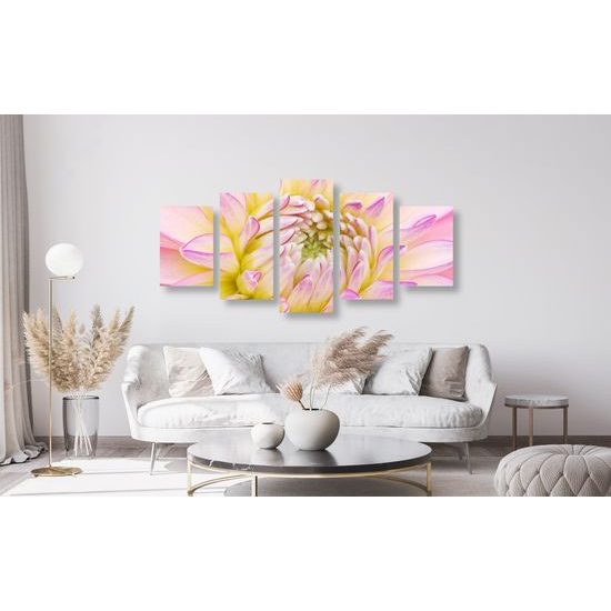 5-dielny obraz perfektný detail na kvet dálie