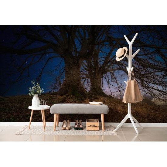 Samolepiaca tapeta stromy s nočnou oblohou