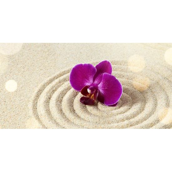 Obraz orchidea v piesku