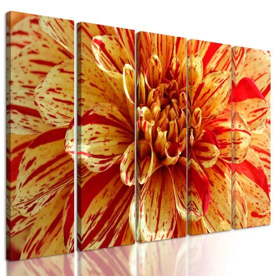 5-dielny obraz ohromná dália