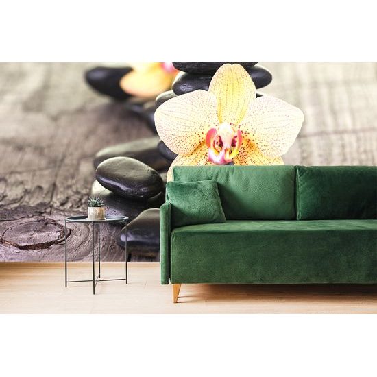 Samolepiaca fototapeta krásna orchidea so zen kameňmi