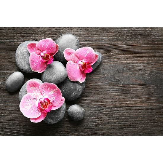 Samolepiaca fototapeta ružové kvety orchidey s kameňmi