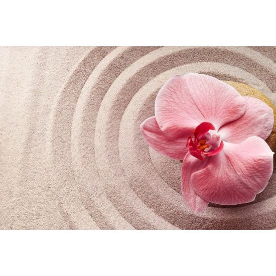 Samolepiaca fototapeta harmónia orchidey s pieskom