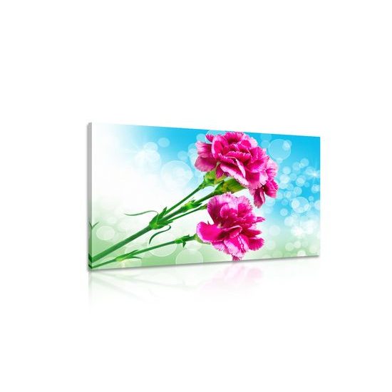 Obraz nádherny ružový kvet