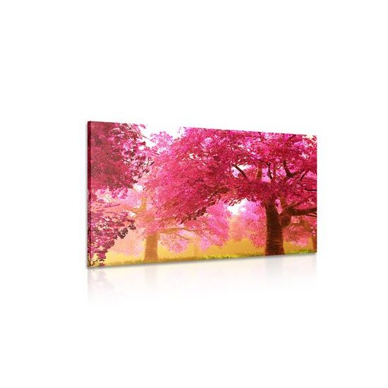 Obraz sad plný čerešnových stromov