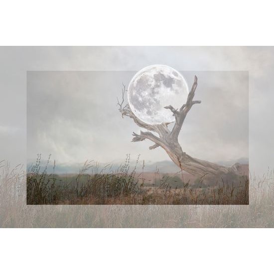 Obraz umelecké zobrazenie mesiaca