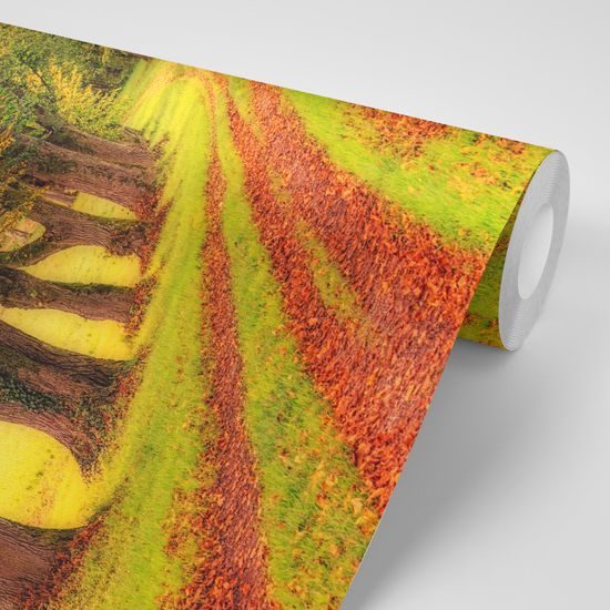 Samolepiaca tapeta chodník uprostred jesenných stromov