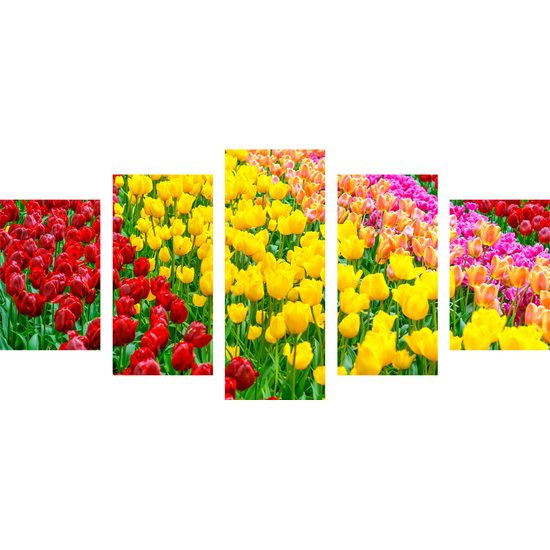 5-dielny obraz tulipánový sad