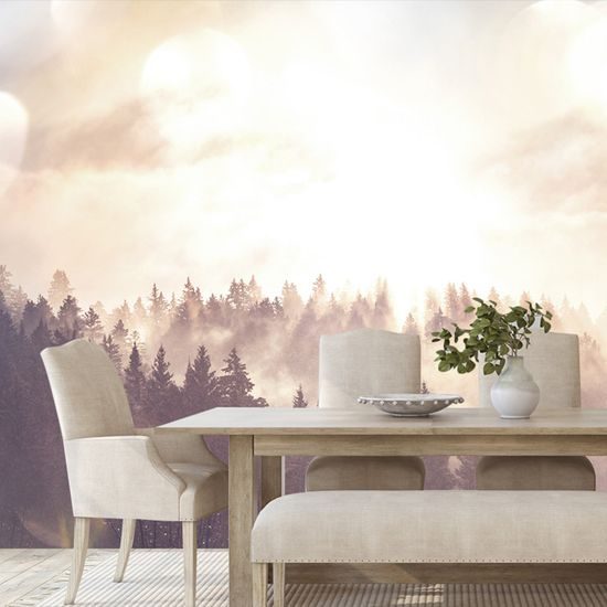 Samolepiaca fototapeta ranné lúče slnka nad lesom