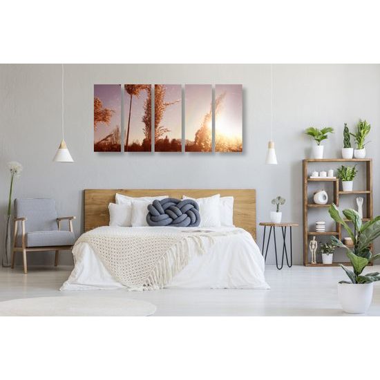 5-dielny obraz steblá trávy pri západe slnka