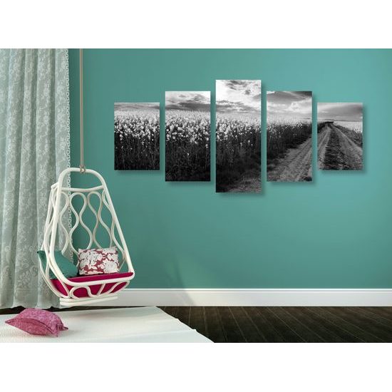5-dielny obraz nádherná cestička v strede poľa v čiernobielom prevedení