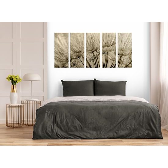 5-dielny obraz presný detail púpavy v sépiovom prevedení