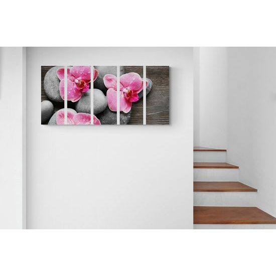 5-dielny obraz kvety orchidei na drevenom pozadí