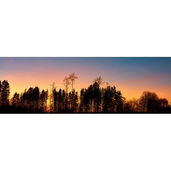 Obraz les pri západe slnka