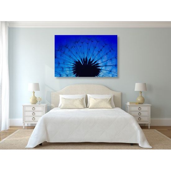 Obraz abstraktná nočná púpava