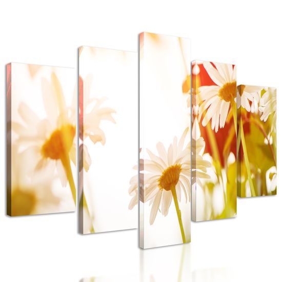 5-dielny obraz kvety na slnečnej lúke