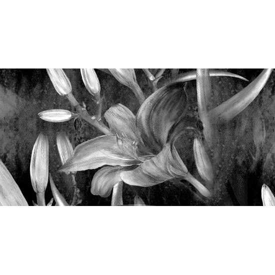 Obraz maľovaná ľalia v čiernobielom prevedení