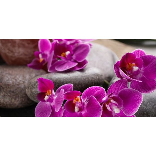 Obraz Feng Shui zátišie s fialovou orchideou