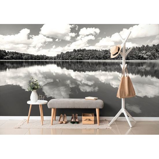 Originálna čiernobiela samolepiaca fototapeta letná príroda